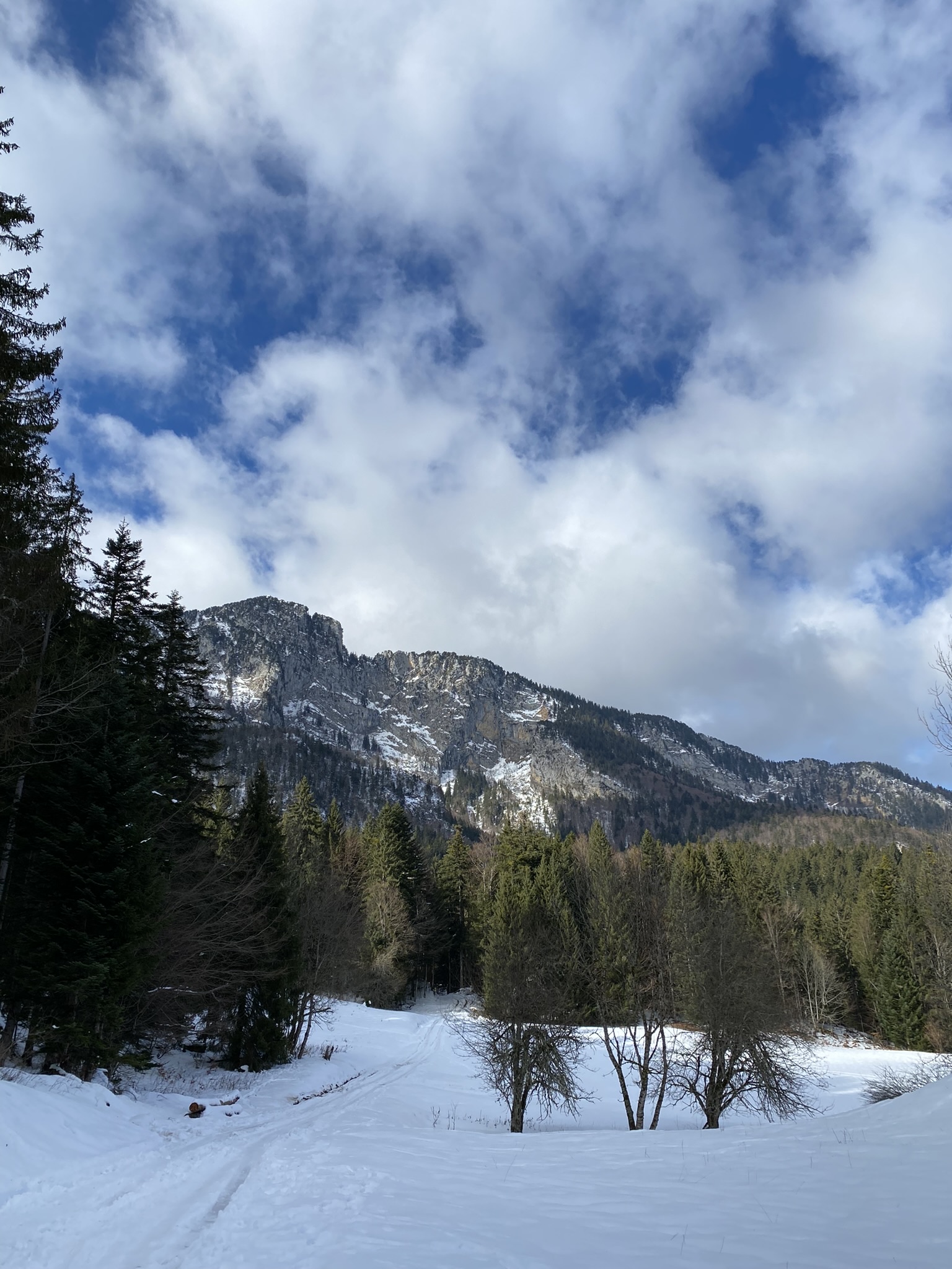 Forfaits ski Planolet - Le Planolet en Chartreuse